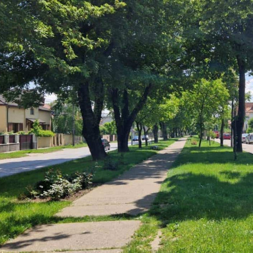 Terenurile fostei Mocănițe de la Alba Iulia, transferate în domeniul public al municipiului