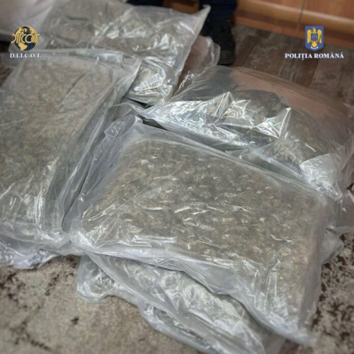 Operațiune privind trafic de droguri în Târgu Mureș