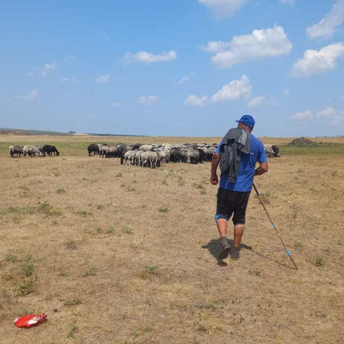 Județul Botoșani, aflat în criză acută de apă