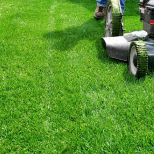 Tichetele de activități casnice pot fi folosite timp de 12 luni