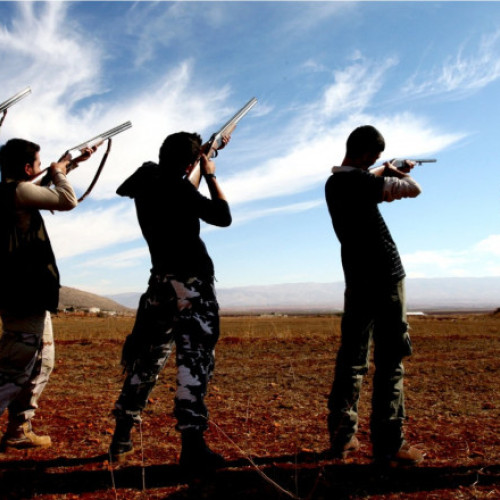 Vânătoarea de păsări migratoare interzisă în Liban continuă necontrolat