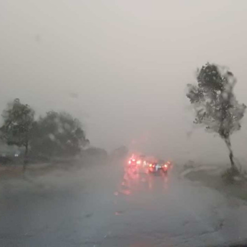 Ploi semnificative în județul Botoșani