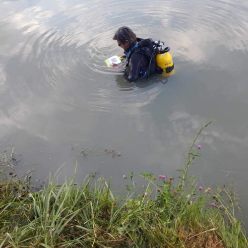 Pompierii din Mureș caută o persoană dispărută într-un lac