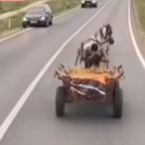 Incident cu un vehicul cu tracțiune animală pe DN 72