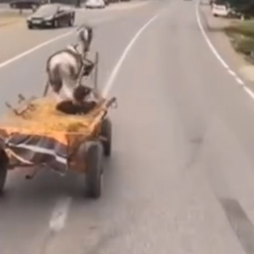 Caruțaș amendat cu 16.500 de lei după filmări inadecvate pe drum național