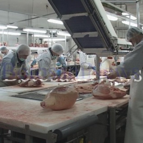 Doly Com Distributie, vânzări record în 2022