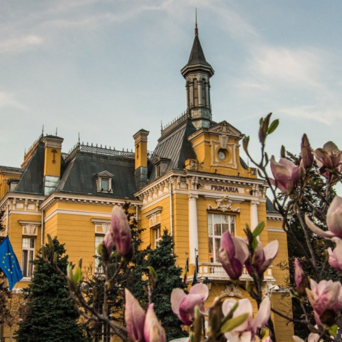 Primăria Botoșani organizează o licitație de 12,3 milioane de lei pentru școli