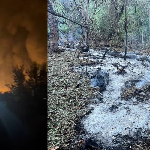 Structurile de apărare, alertă pentru supravegherea frontierelor României