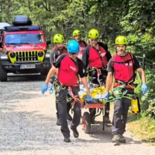 Exercițiul tactic "FOREST EX BV" pentru stingerea incendiilor de pădure, organizat la Vama Buzăului