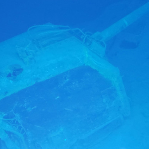 Descoperirea unei epave din secolul XIX cu sticle de șampanie în Marea Baltică