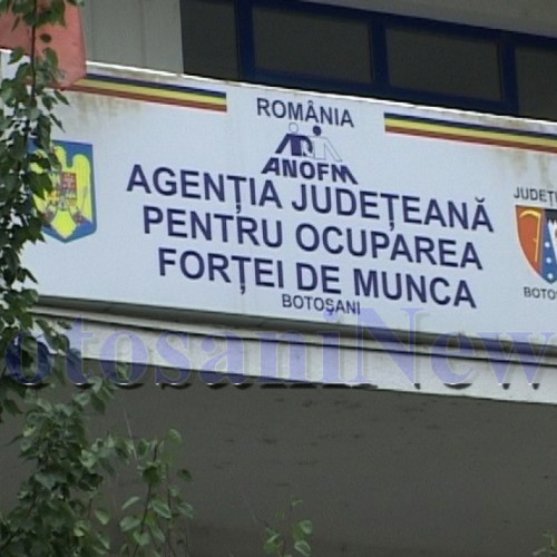 AJOFM Botoșani oferă cursuri de calificare în luna august