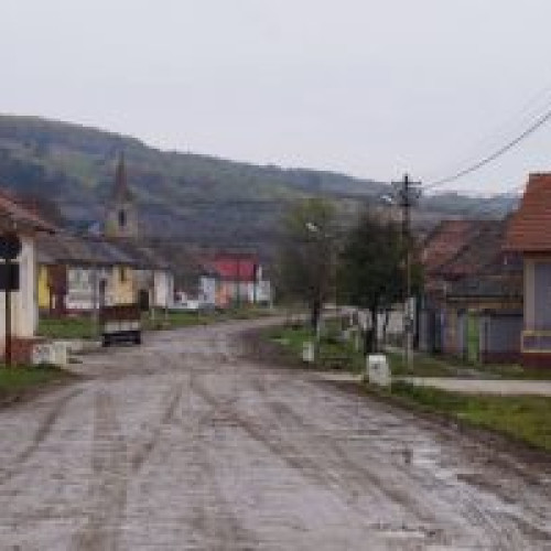Festivalul Fanului, la a II-a ediție în comuna Soars