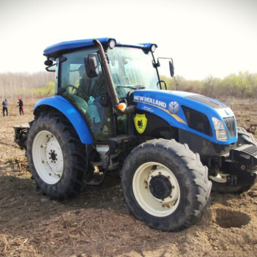 Campania de împăduriri de primăvară a Romsilva