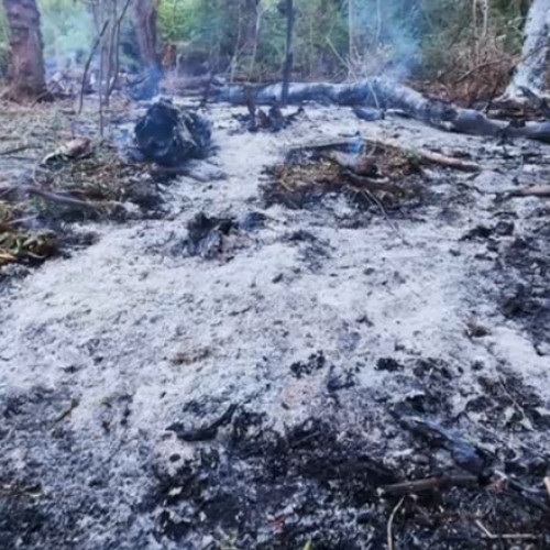 Ministerul Apărării confirmă resturile unei drone rusești lângă Plauru