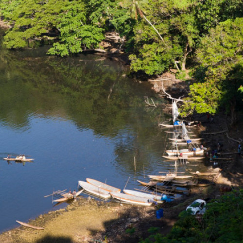 Atacuri devastatoare în Papua Noua Guinee: Zeci de victime