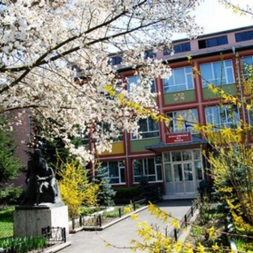 Rezultate remarcabile pentru Școala Gimnazială Nr. 3 Suceava la Evaluarea Națională