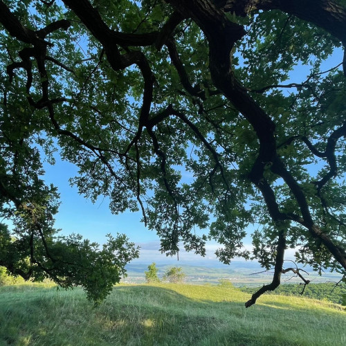 Vreme caniculară și ploi în următoarea perioadă