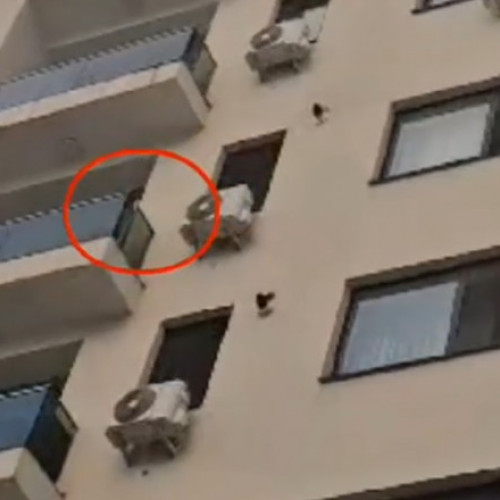 Operațiune fulger a poliției din Brașov, destructurată o rețea de trafic de droguri