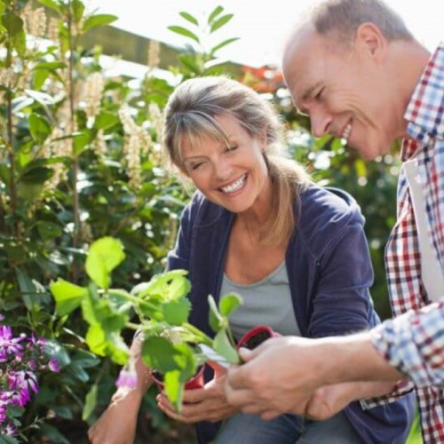 Impactul hobby-urilor asupra calității vieții