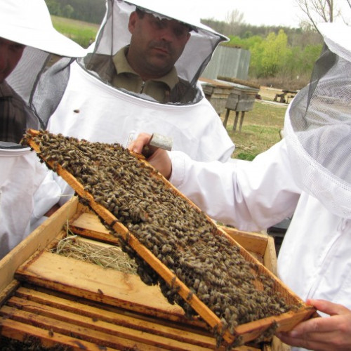 Agenția de Plăți și Intervenție pentru Agricultură, aviz important pentru solicitanți