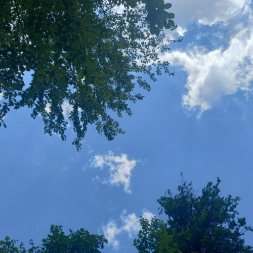 Prognoza meteo pentru perioada 29 iulie - 26 august 2024