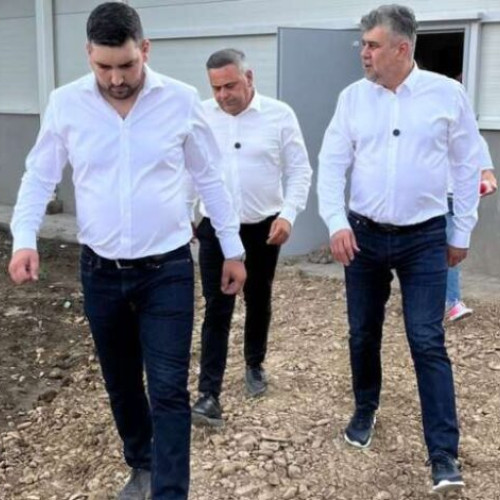 Premierul Ciolacu anunță un deficit de 4 milioane de carcase de porc, dar măsuri pentru creșterea numărului suinelor