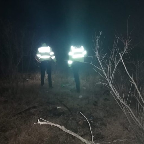 Dispariția a patru minori din Mereni, alertă în județul Constanța