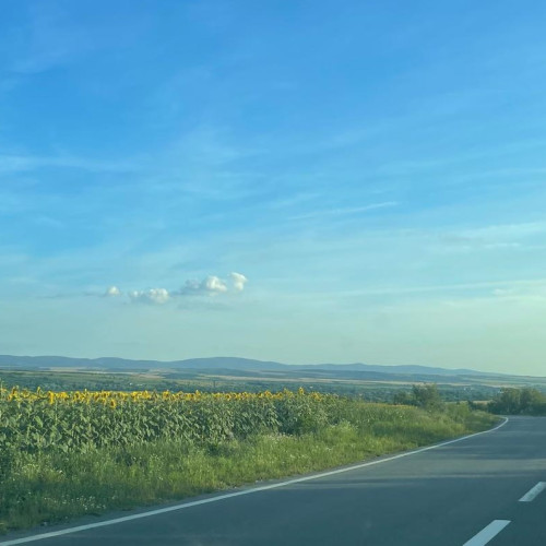 Zile libere 2024: Următoarea minivacanță pentru români va fi în luna august