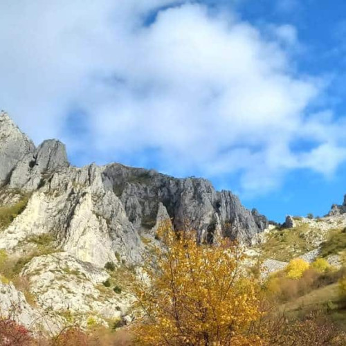 Prognoza meteo pentru toamna anului 2024