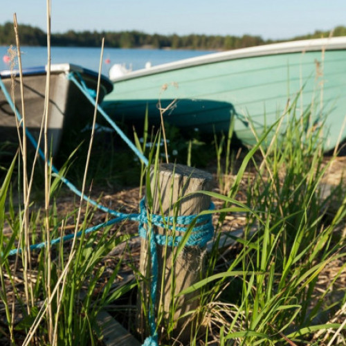 Un student din Finlanda și-a cumpărat o insulă privată pentru a construi o cabană și o saună