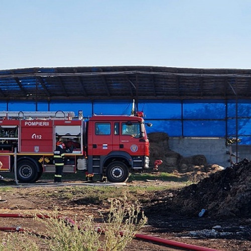 Incendiu devastator la un adăpost de animale în Decebal
