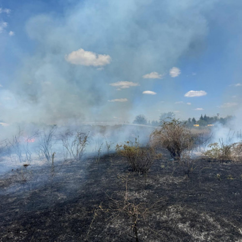 Incendiu devastator la groapa de gunoi de la Smardan