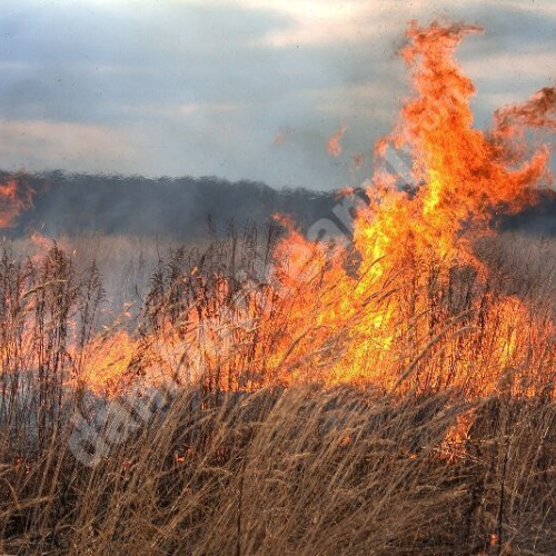 Incendiu puternic în comuna Văcărești