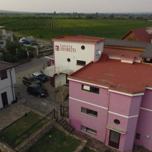 Consiliul Concurenței aprobă achiziția Cramele Recaș a Tenuta Odobești