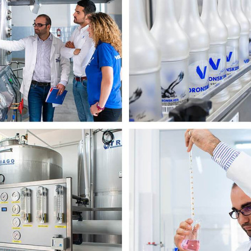 Prodalcom Botoșani a realizat vânzări de peste cinci milioane de euro în 2023