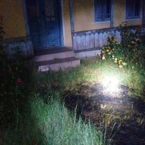 Incendiu de vegetație la Flămânzi: Pompierii intervin pentru a stinge flăcările