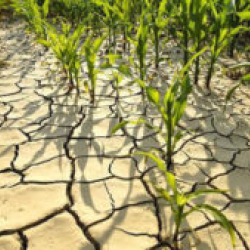 Progresele în inteligența artificială ajută la prognozarea evenimentelor meteorologice extreme