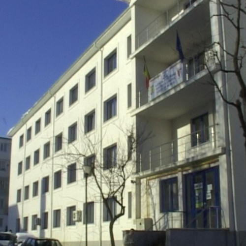 Piața muncii din Botoșani: 1.954 persoane integrate în primele șase luni din 2024