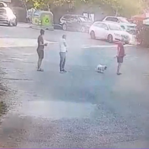 Accident tragic în București, un copil a murit și altul este grav rănit