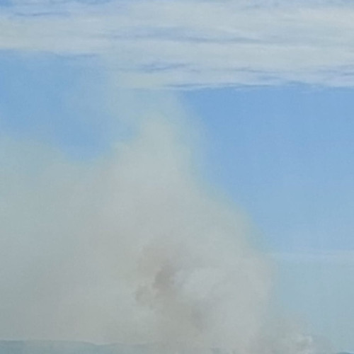 Pompierii gorjeni acționează pentru a stinge patru incendii de vegetație