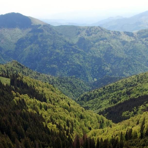 Vremea până la 11 august: Temperaturi ridicate și posibile precipitații