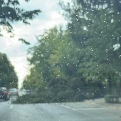 Vremea extrema cauzează daune în Pitesti și Ștefănești