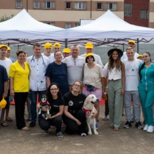 Proiectul "HAM grija de tine!" aduce câini de terapie în instituțiile medicale din Ilfov