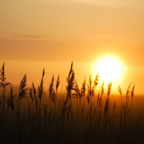 Vreme caldă și averse prognozate de ANM pentru luna august 2024