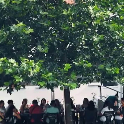 Atelier de parenting la Biblioteca Județeană "Lucian Blaga" Alba