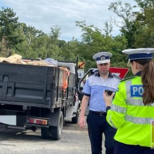 Transport ilegal de lemn descoperit pe drumul național 29 B