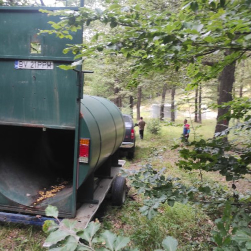 Cusca specială pentru capturarea unui urs, montată la Râșnov