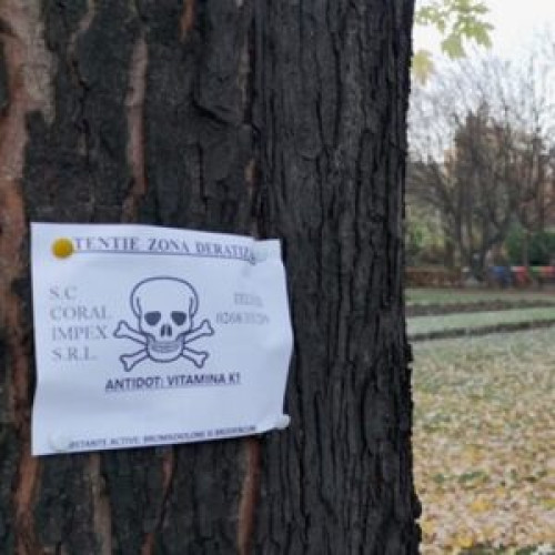 Deratizarea anuală în Brașov: începutul celei de-a doua campanii