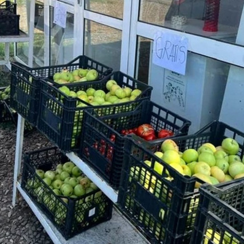 Un fermier din Botoșani își donează fructele în memoria soției sale