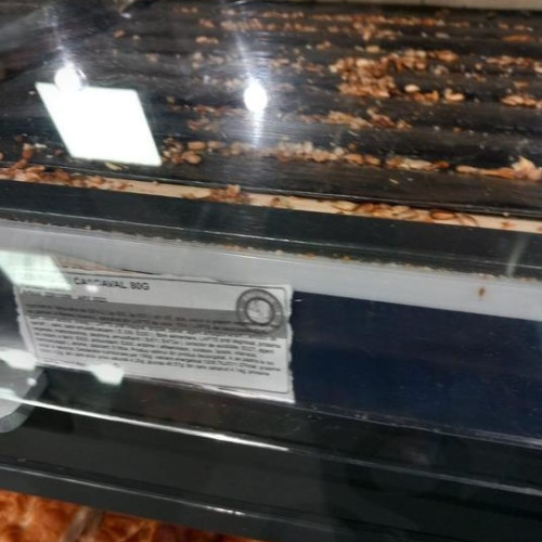 ANPC desfășoară acțiuni de control la operatorii economici din Aeroportul Henri Coandă